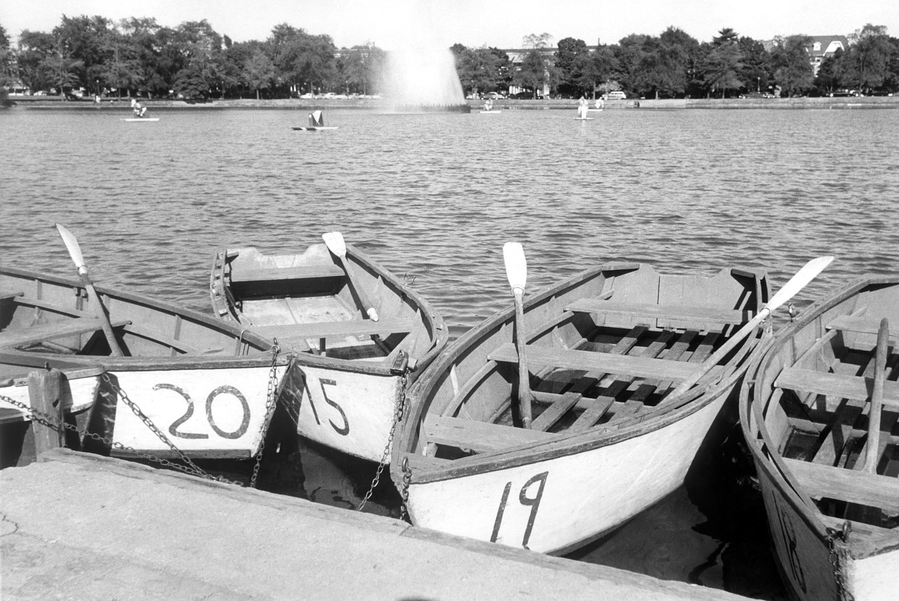 20190116 boats